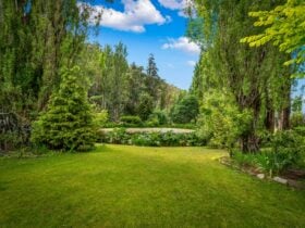 External Gardens