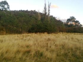 Mangana Land camping