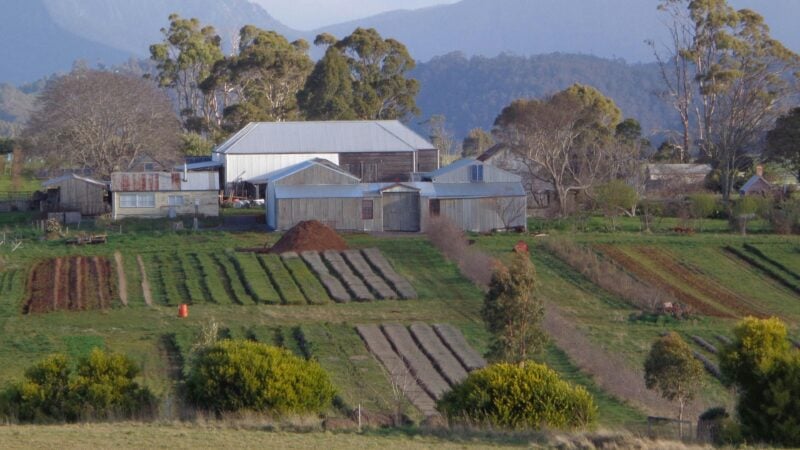 herbfields and farmbuildings