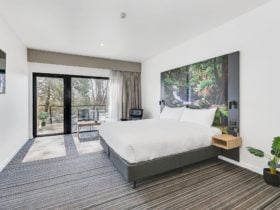 Guest accommodation room, with king bed and ample space, large window/glass door to small balcony.