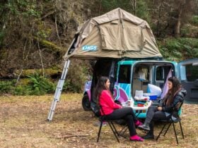 Mt Field Camping