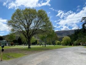 Caravan Park