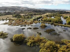 The Big Lake