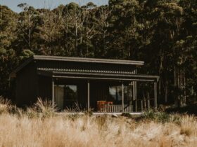 Dark grey cabin with a deck and trees behind.