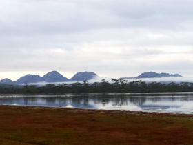 Pelican Bay tidal lagoon