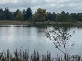Pockets Farm