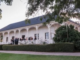 Quamby Homestead, white with elegant arches, behind a box hedge and rose garden