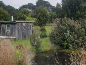 Raoul Bay Retreat