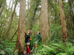 Cockle Creek Camping