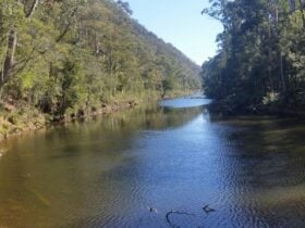 Looking SW up river