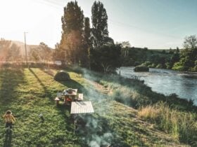 Ryelands Farm & Vineyard