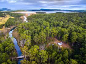 Saintys Creek Cottage: aerial view of Saintys Creek Cottage's forest and creek.