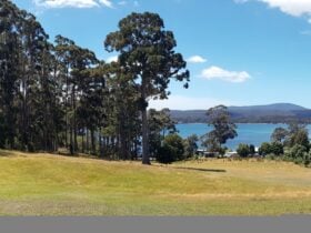 The view of Possum Bay from Semaphore Farm's main camping area.
