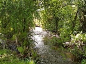 Shundahai, Central Highlands Tasmania