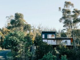 A picture of a two story contemporary modern house from the front, nestled in the Australian bush