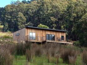 Timber cottage on hillside, showing deck and forest in background