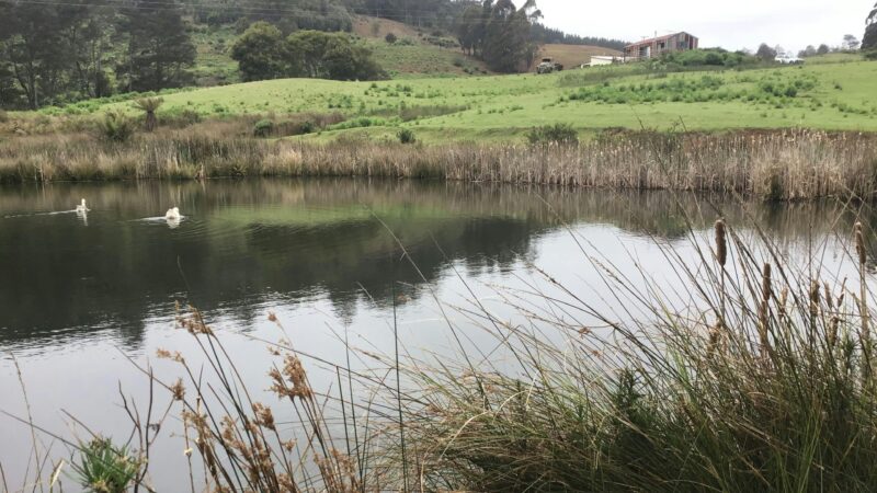 South Preston Dam Camp