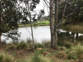 South Preston Dam Camp