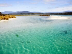 Southport Lagoon Camping