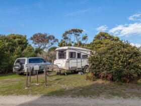 Camping Narawntapu