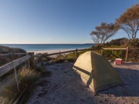 Bay of Fires Camping