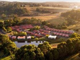 Aerial photo of Tall Timbers with light casting an ethereal glow across the rooms, lake & trees