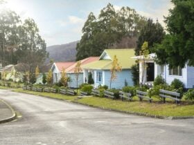 Tarraleah Estate's restored Art Deco Cottages