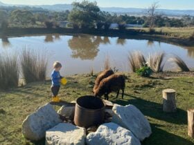 The Duck Hole at Farnese Olivo