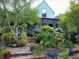 The Gardens Apartment Hobart - Setting