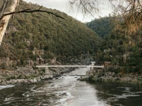 Suspension bridge over South Esk River at Cataract Gorge, Tasmania