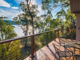 View from verandah