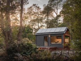 Wilderness Tiny