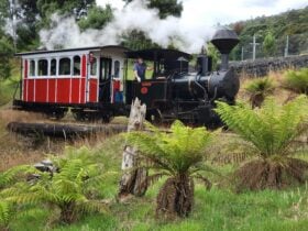 passing by Galena Cabin on scheduled weekends.