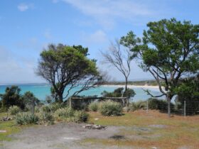 Waterhouse Camping