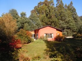 Strawbale Cottage