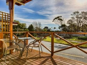 Wintersun Gardens Motel