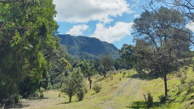 World Heritage Forest Monastery campsite