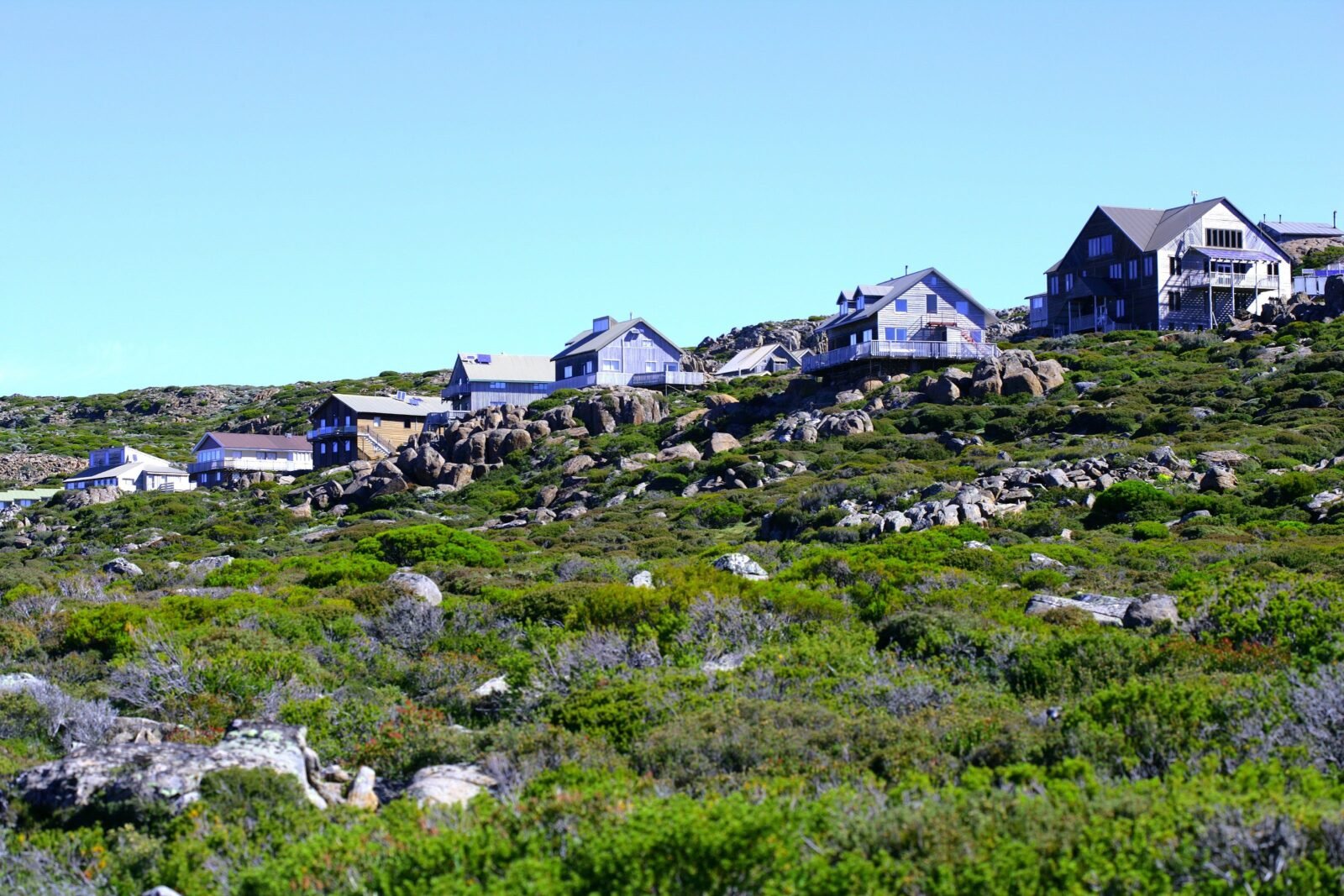 Ben Lomond National Park