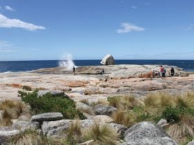 Bicheno Blowhole