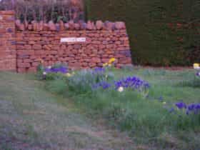 Blenheim Gallery