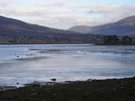 Bridgewater Foreshore Trail