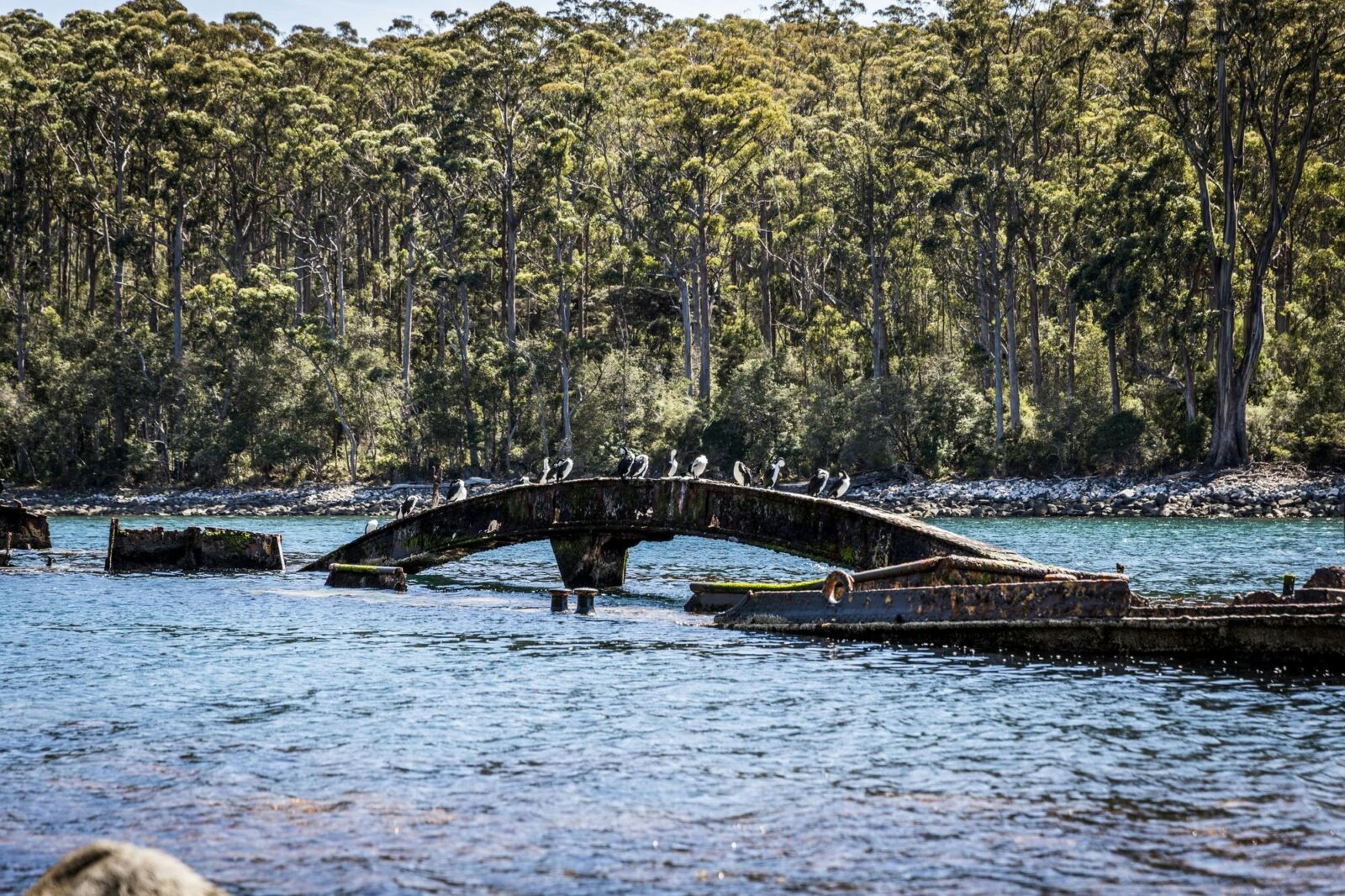 remains of a steel-hulled barge, the William Pitt