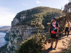 walkers on the Cape Raoul track with sea cliffs in background