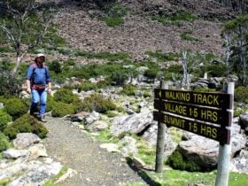 Carr Villa to Alpine Village track
