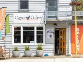 Cygnet Gallery