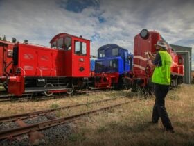 Visitor gets up close.