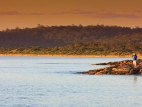 Fishing from shore - Foreshore between Pirates Cove and Jetty