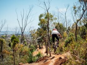 George Town MTB Trails