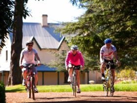Cyclists at Entally Estate by Rob Burnett