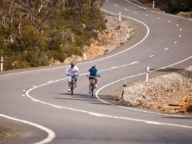 Cyclists on the Lake Highway by Rob Burnett